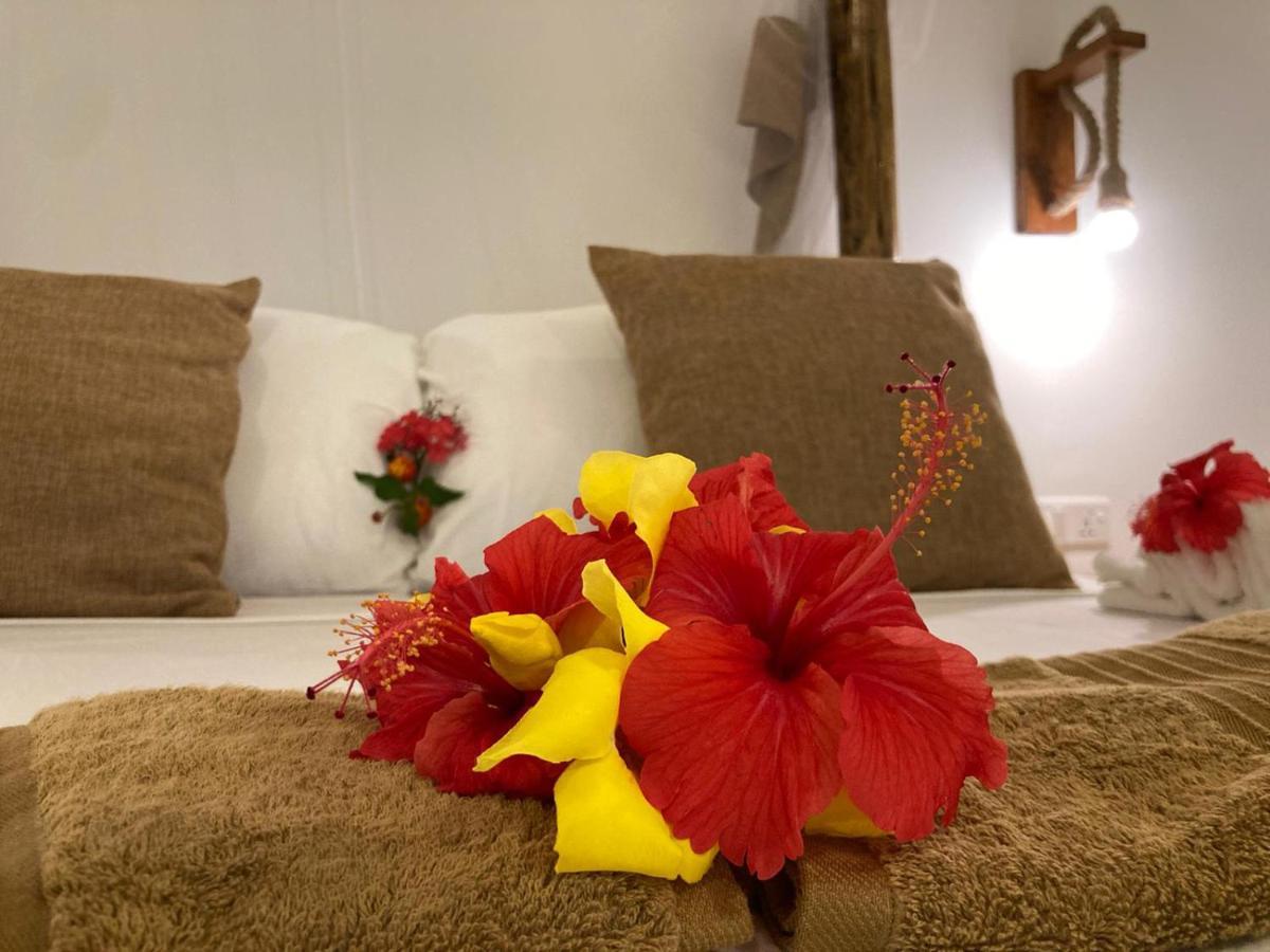 Almasi Resort Resort